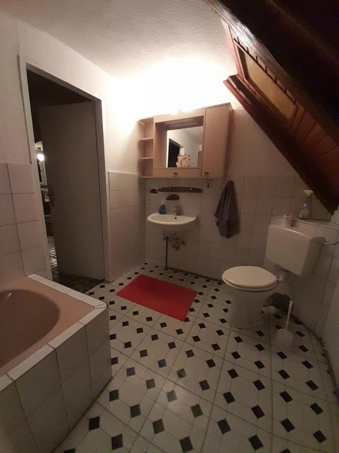Ferienwohnung Why Not Polle Екстериор снимка